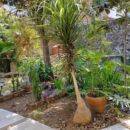 Linda Casa En Tepoztlan Centro 1 Villa Eksteriør bilde