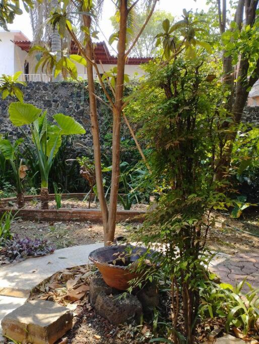 Linda Casa En Tepoztlan Centro 1 Villa Eksteriør bilde