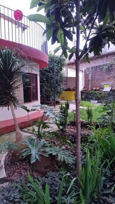 Linda Casa En Tepoztlan Centro 1 Villa Eksteriør bilde