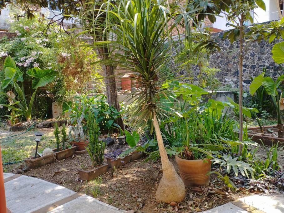 Linda Casa En Tepoztlan Centro 1 Villa Eksteriør bilde